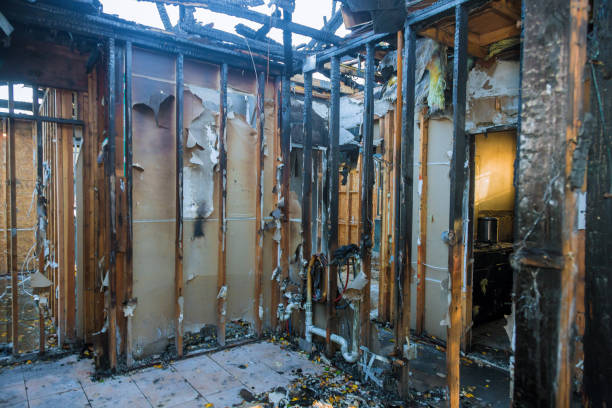 Professional Fire Damage Repair technician working in Kingsley, IA
